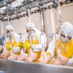 Line speed and safety in the poultry processing industry