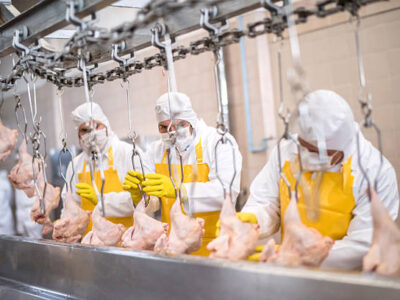 Meat and poultry plants continue to endanger workers