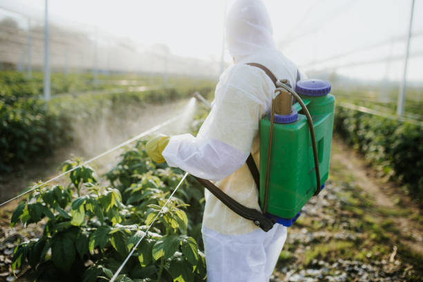 You are currently viewing If you work in agriculture, you risk exposure to pesticides